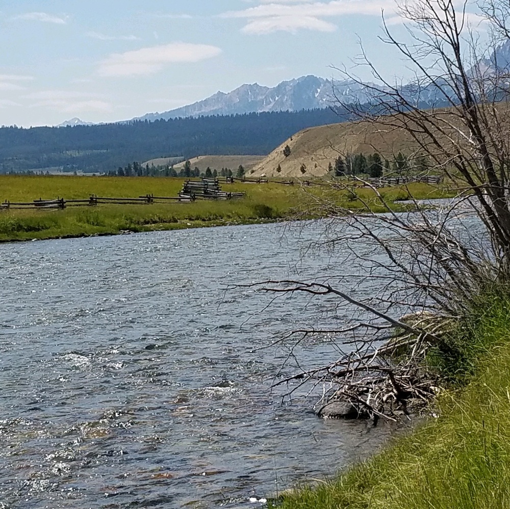 Meet your Posher, Allysa